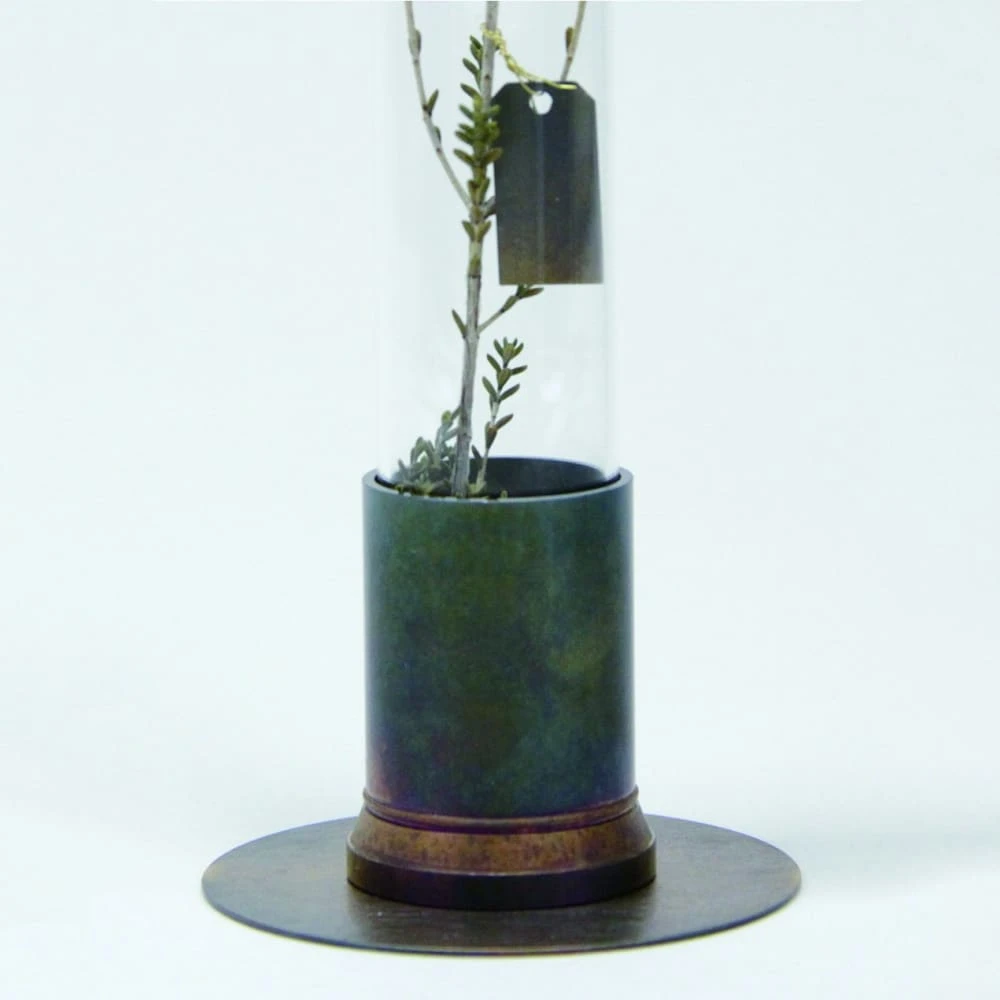 HERBARIUM BRASS GLASS DOME & FLOWER VASE RUST 8 HERBARIUM BRASS GLASS DOME & FLOWER VASE RUST - Image 8