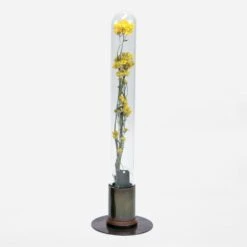 HERBARIUM BRASS GLASS DOME & FLOWER VASE RUST 18 HERBARIUM BRASS GLASS DOME & FLOWER VASE RUST -Writing Supplies Store herbarium brass glass dome flower vase rust 154