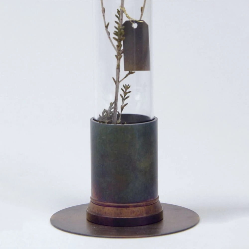 HERBARIUM BRASS GLASS DOME & FLOWER VASE RUST 4 HERBARIUM BRASS GLASS DOME & FLOWER VASE RUST - Image 4
