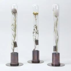 HERBARIUM BRASS GLASS DOME & FLOWER VASE RUST 22 HERBARIUM BRASS GLASS DOME & FLOWER VASE RUST -Writing Supplies Store herbarium brass glass dome flower vase rust 700