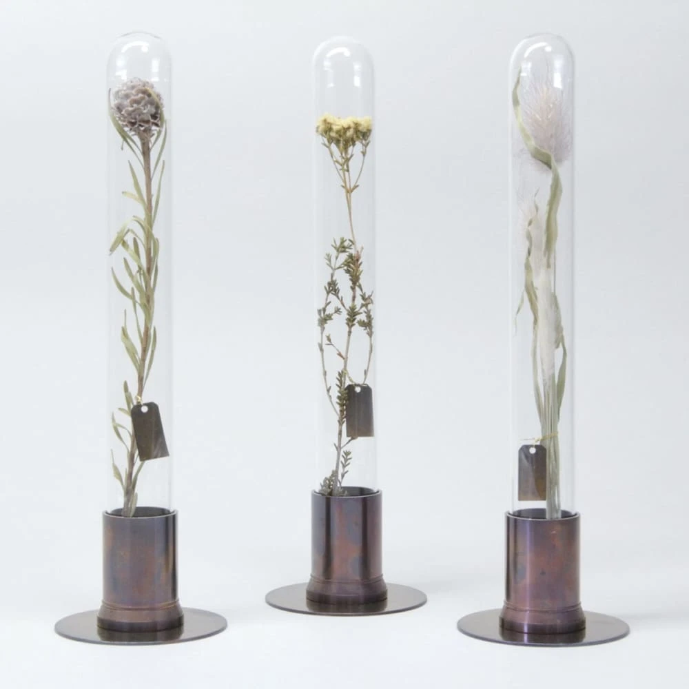 HERBARIUM BRASS GLASS DOME & FLOWER VASE RUST 11 HERBARIUM BRASS GLASS DOME & FLOWER VASE RUST - Image 11