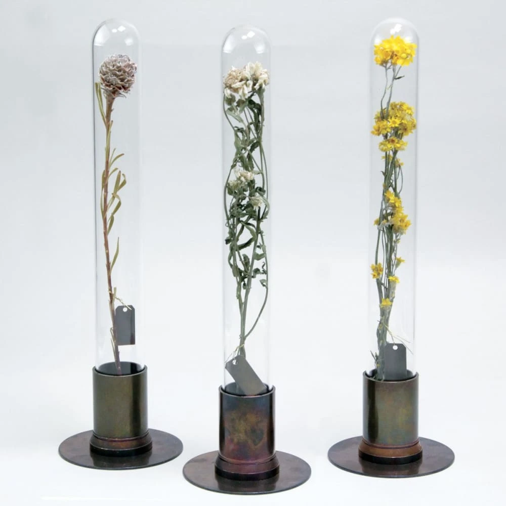 HERBARIUM BRASS GLASS DOME & FLOWER VASE RUST 12 HERBARIUM BRASS GLASS DOME & FLOWER VASE RUST - Image 12