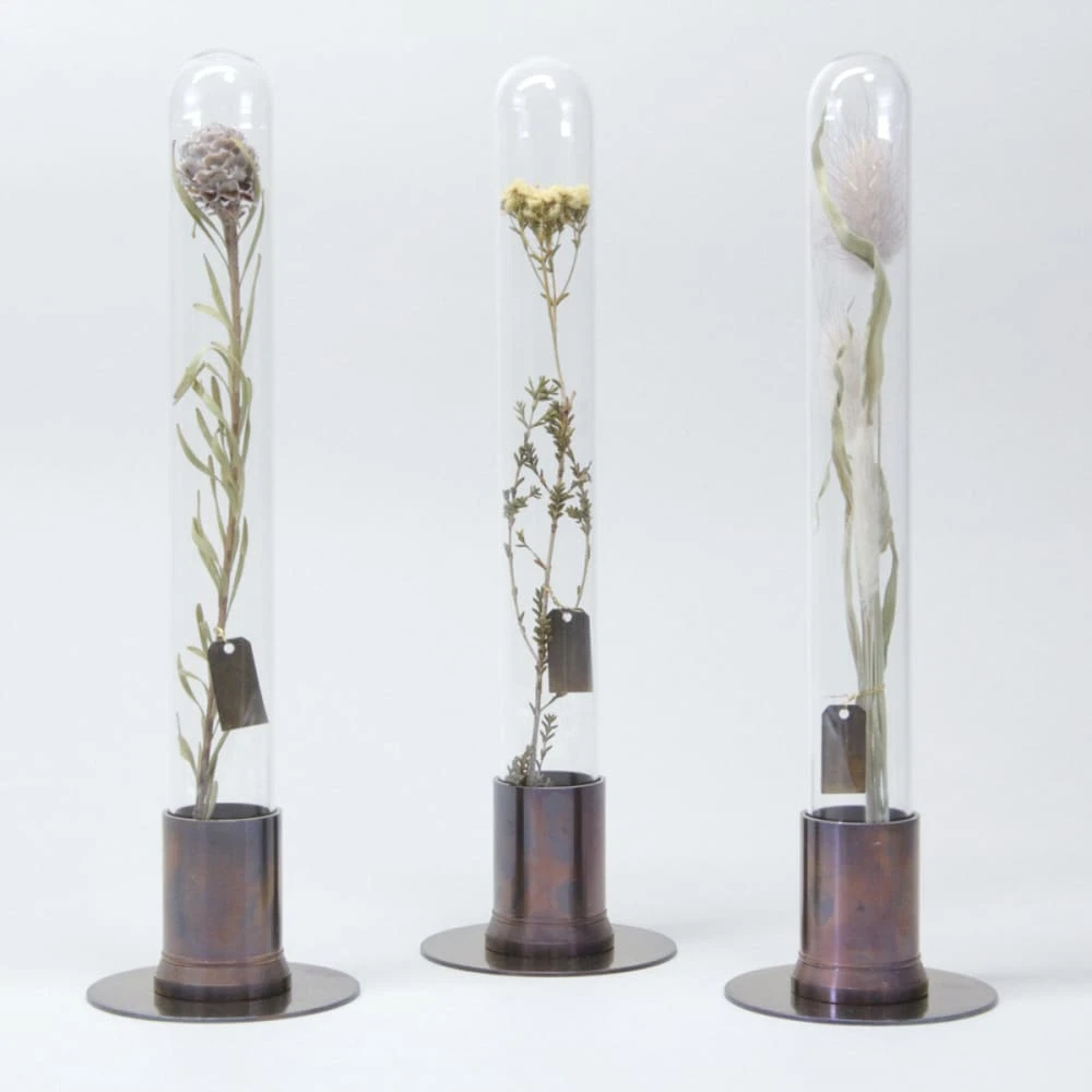 HERBARIUM BRASS GLASS DOME & FLOWER VASE RUST 2 HERBARIUM BRASS GLASS DOME & FLOWER VASE RUST - Image 2