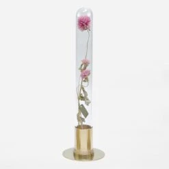 HERBARIUM BRASS GLASS DOME & FLOWER VASE SOLID 24 HERBARIUM BRASS GLASS DOME & FLOWER VASE SOLID -Writing Supplies Store herbarium brass glass dome flower vase solid 148