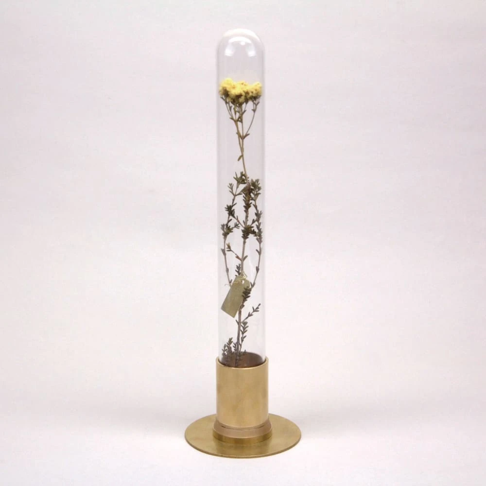 HERBARIUM BRASS GLASS DOME & FLOWER VASE SOLID 2 HERBARIUM BRASS GLASS DOME & FLOWER VASE SOLID - Image 2