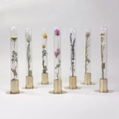 HERBARIUM BRASS GLASS DOME & FLOWER VASE SOLID 30 HERBARIUM BRASS GLASS DOME & FLOWER VASE SOLID -Writing Supplies Store herbarium brass glass dome flower vase solid 318