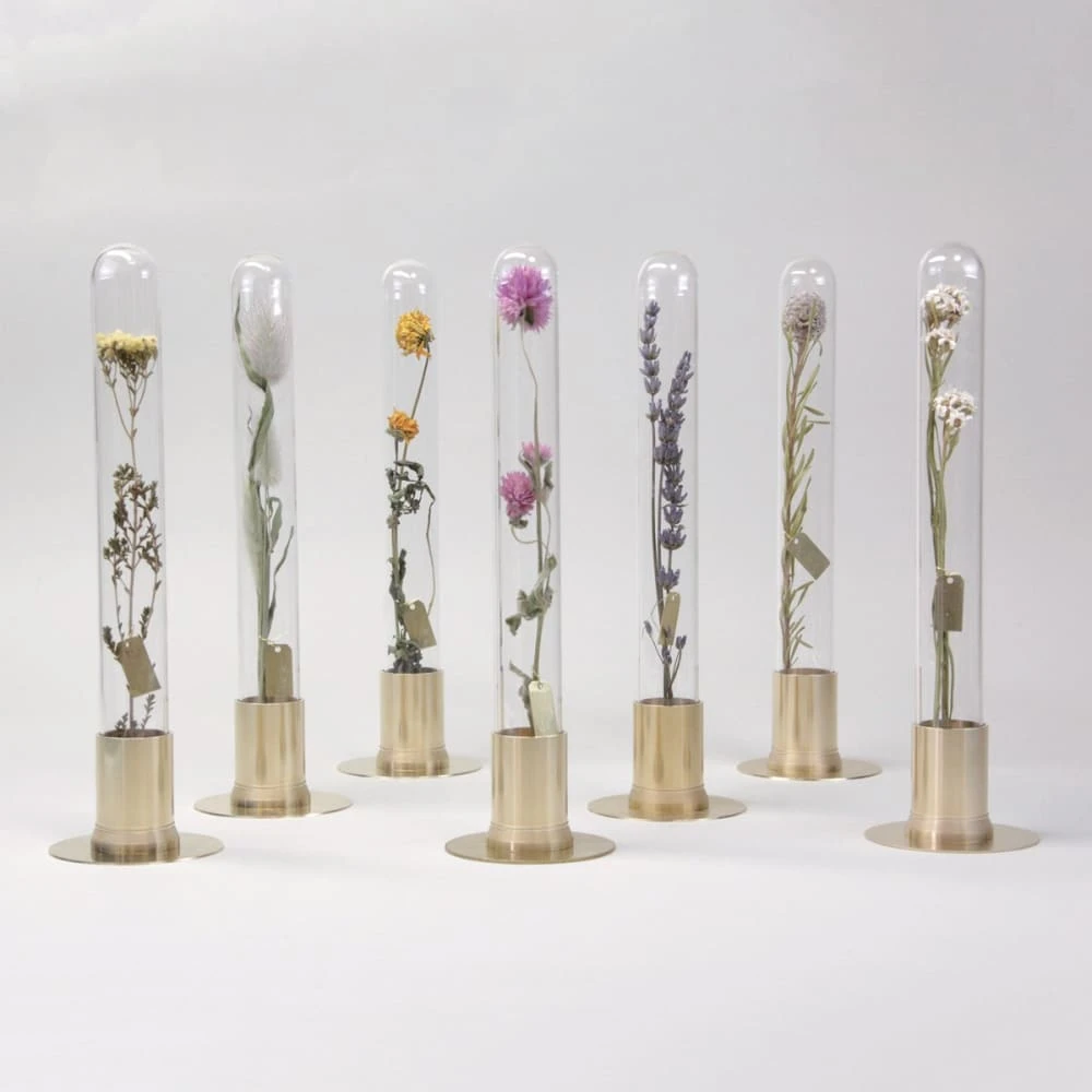 HERBARIUM BRASS GLASS DOME & FLOWER VASE SOLID 15 HERBARIUM BRASS GLASS DOME & FLOWER VASE SOLID - Image 15