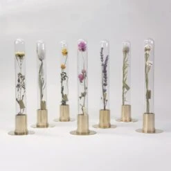 HERBARIUM BRASS GLASS DOME & FLOWER VASE SOLID 22 HERBARIUM BRASS GLASS DOME & FLOWER VASE SOLID -Writing Supplies Store herbarium brass glass dome flower vase solid 512