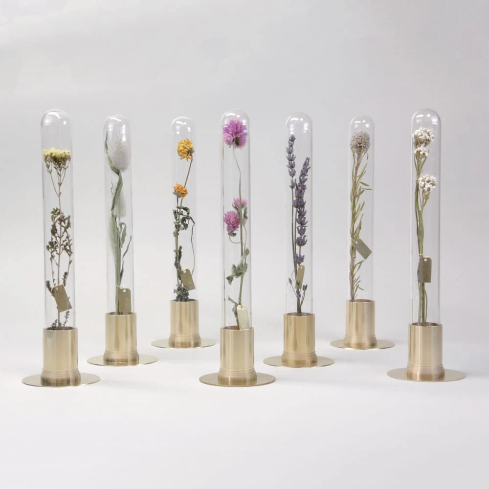 HERBARIUM BRASS GLASS DOME & FLOWER VASE SOLID 7 HERBARIUM BRASS GLASS DOME & FLOWER VASE SOLID - Image 7