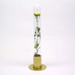 HERBARIUM BRASS GLASS DOME & FLOWER VASE SOLID 25 HERBARIUM BRASS GLASS DOME & FLOWER VASE SOLID -Writing Supplies Store herbarium brass glass dome flower vase solid 623