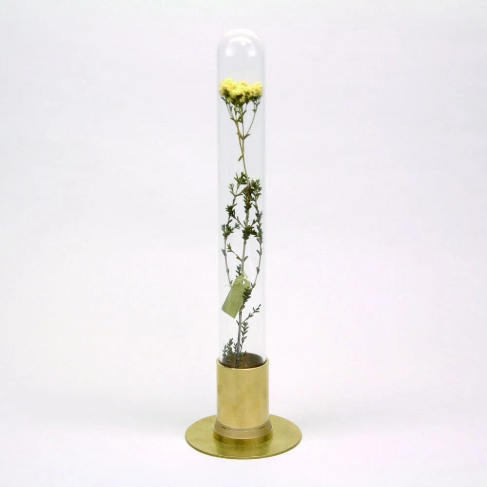 HERBARIUM BRASS GLASS DOME & FLOWER VASE SOLID 10 HERBARIUM BRASS GLASS DOME & FLOWER VASE SOLID - Image 10