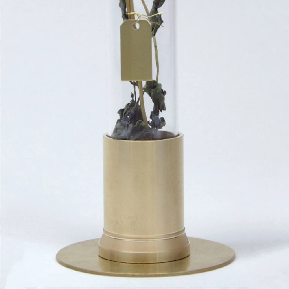 HERBARIUM BRASS GLASS DOME & FLOWER VASE SOLID 5 HERBARIUM BRASS GLASS DOME & FLOWER VASE SOLID - Image 5