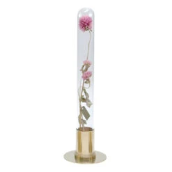 HERBARIUM BRASS GLASS DOME & FLOWER VASE SOLID