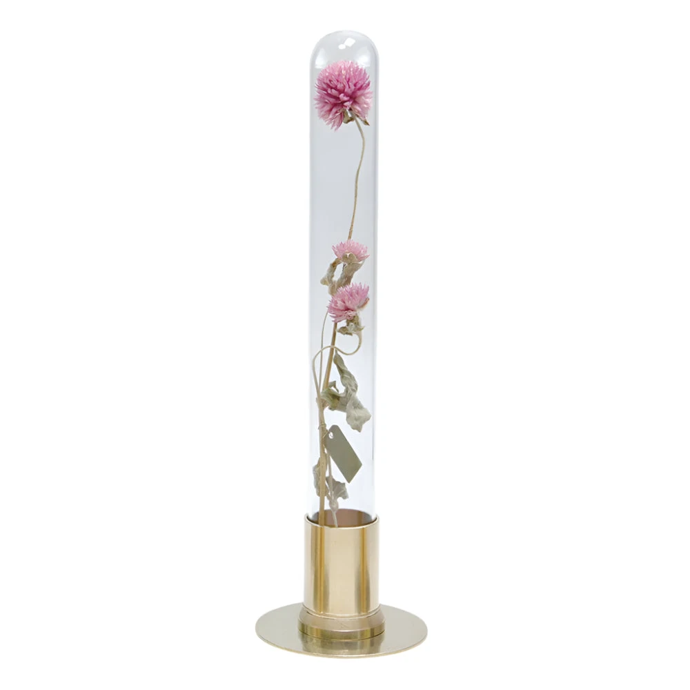 HERBARIUM BRASS GLASS DOME & FLOWER VASE SOLID 1 HERBARIUM BRASS GLASS DOME & FLOWER VASE SOLID