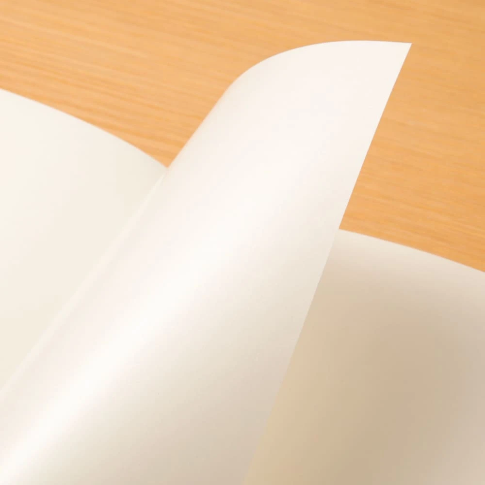 TRAVELER’S Notebook Refill Sticker Release Paper 5 TRAVELER’S Notebook Refill Sticker Release Paper - Image 5